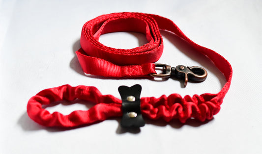 The Safety Leash (Red)